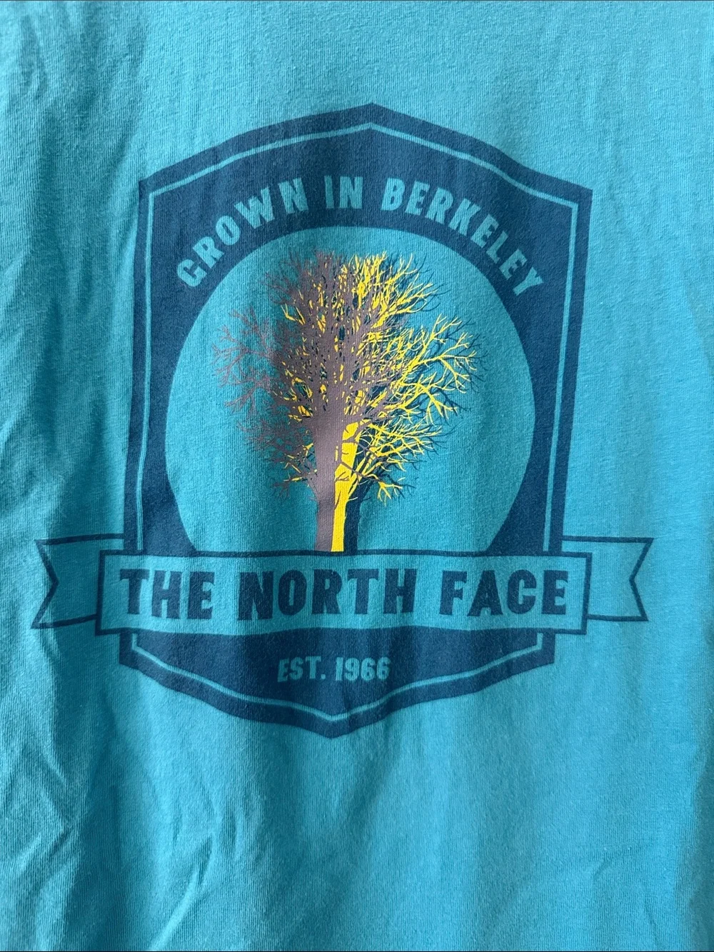The North Face Men’s Teal Blue Graphic Short-Sleeve Tee